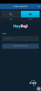 HeyBaji 7