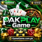 pakplay-game-official-logo