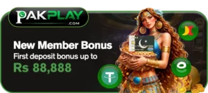 PakPlay 10
